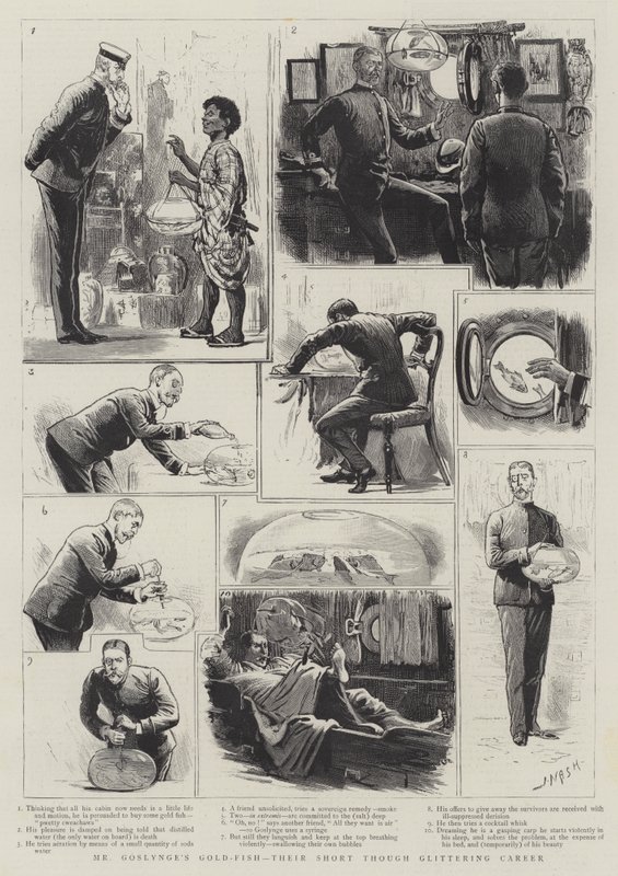 Les poissons rouges de M. Goslynge, leur courte carrière scintillante - Joseph Nash