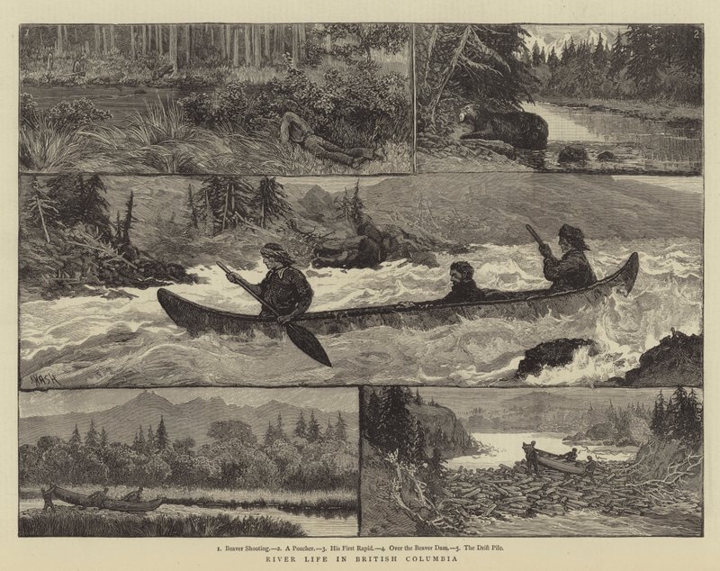 Vie fluviale en Colombie-Britannique - Joseph Nash