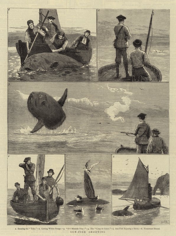 Chasse au poisson-lune - Joseph Nash