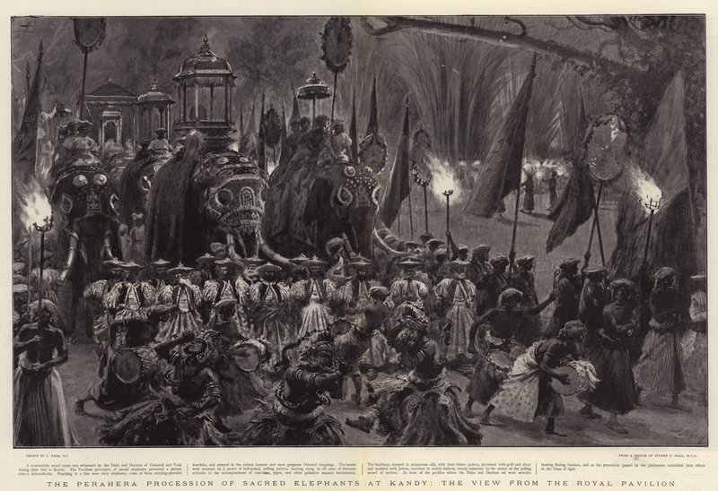 La procession Perahera des éléphants sacrés à Kandy, vue depuis le pavillon royal - Joseph Nash