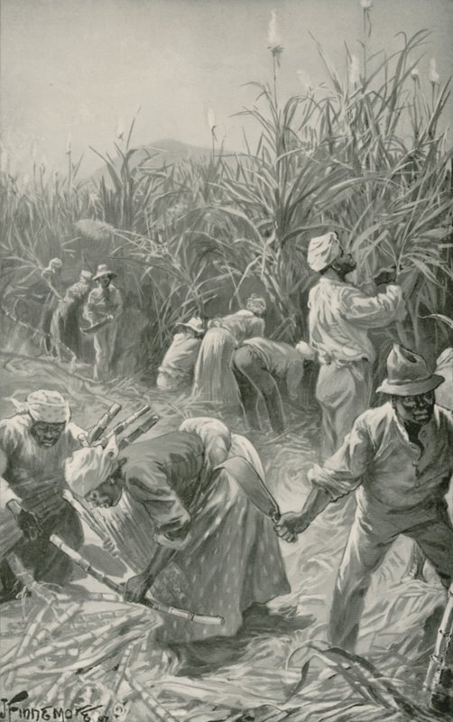 Noir au travail dans une plantation de canne à sucre en Jamaïque - Joseph (after) Finnemore