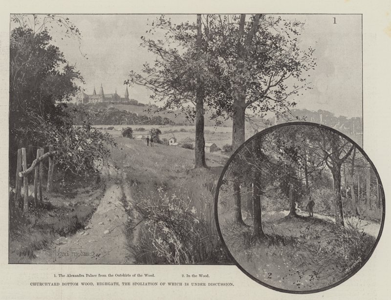 Bois de Churchyard Bottom, Highgate, dont la Spoliation est en Discussion - Joseph Holland Tringham