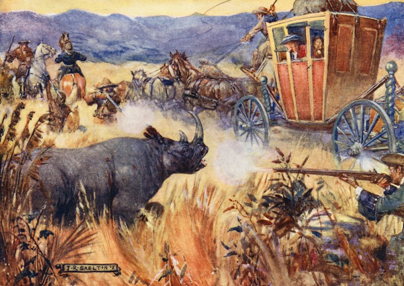 Simon Van der Stel et le rhinocéros - Joseph Ratcliffe (after) Skelton