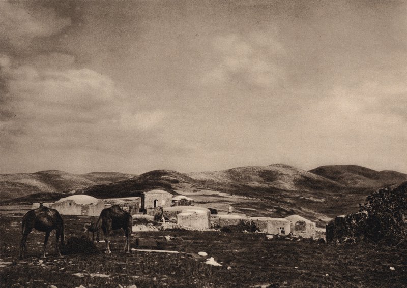 Samarie, vue des ruines du palais d