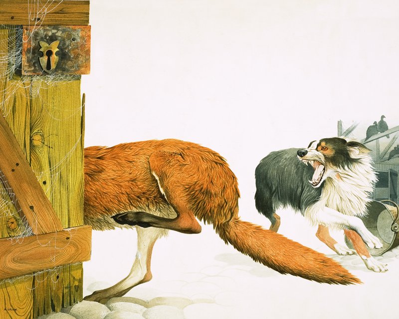 Un chien collie chasse un renard - Kenneth Lilly