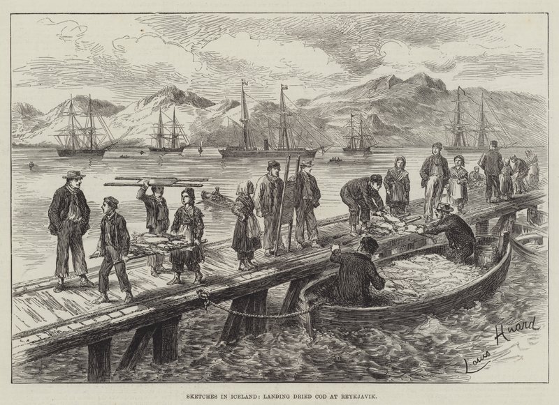 Croquis en Islande, débarquement de morue séchée à Reykjavik - L. Huard