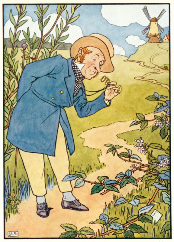 Incidents dans la vie de mon oncle Arly - Leonard Leslie Brooke