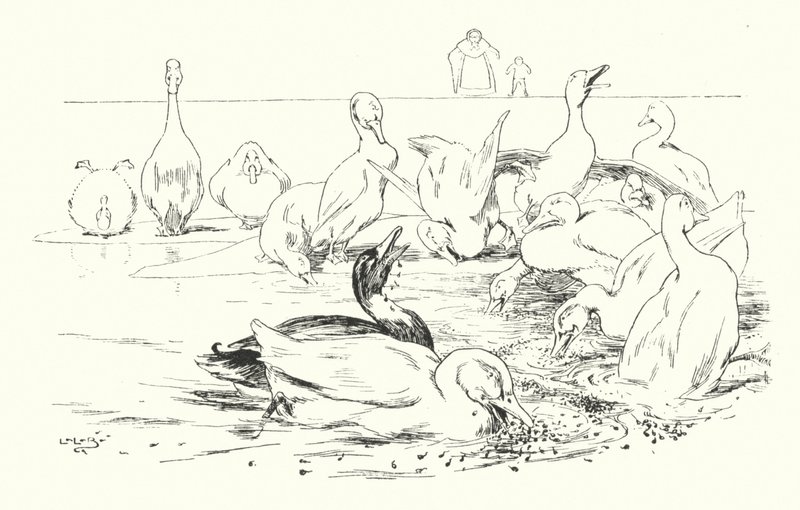 Dame, pourquoi vos canards meurent-ils - Leonard Leslie Brooke