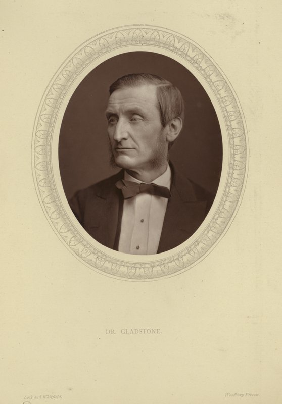 Portrait de John Hall Gladstone - Lock and Whitfield