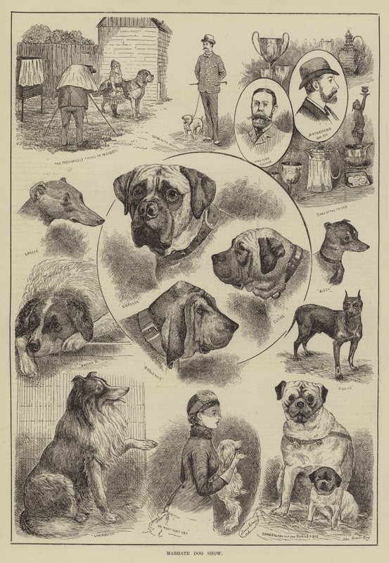 Exposition canine de Margate - Louis Wain