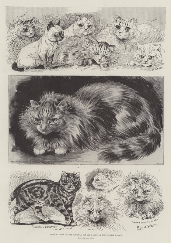 Lauréats du National Cat Club Show au Crystal Palace - Louis Wain