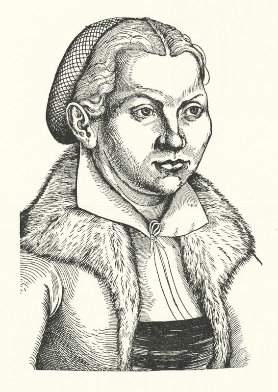 Katharina von Bora, épouse du réformateur protestant allemand Martin Luther - Lucas the Elder (after) Cranach