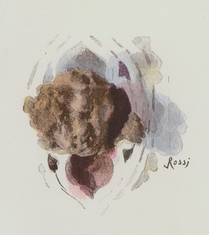 Illustration pour Notre-Dame de Paris par Victor Hugo - Lucius Rossi