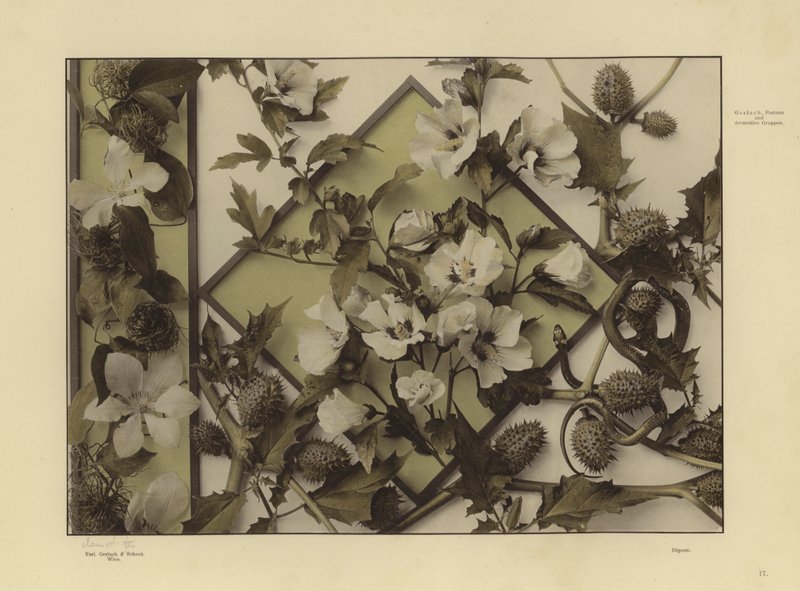 Une des Festons und Decorative Gruppen de Martin Gerlach (photo n/b) - Martin senior Gerlach