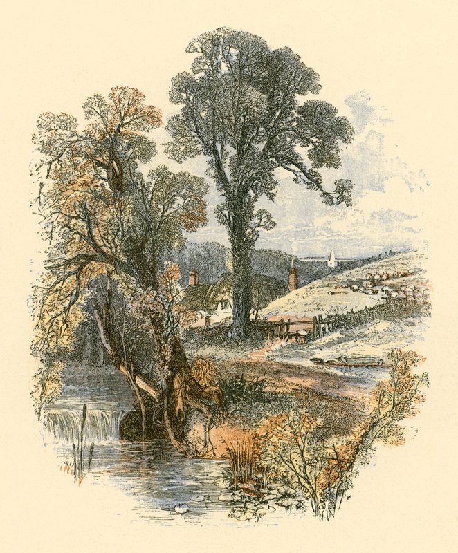 Beautés de la nature - Myles Birket Foster