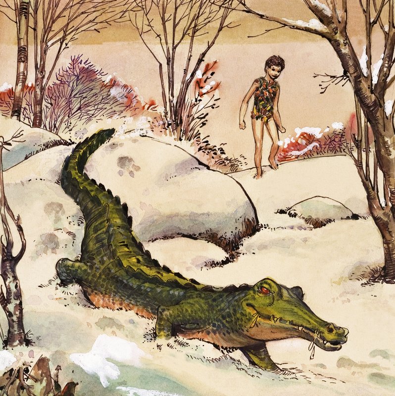 Peter suit le crocodile, illustration de "Peter Pan" de J.M. Barrie (gouache sur papier) - Nadir Quinto