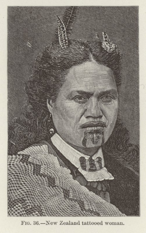 Femme tatouée de Nouvelle-Zélande - New Zealand School