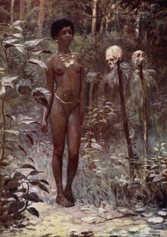 Une vierge Tapu, Îles Salomon britanniques - Norman Hardy