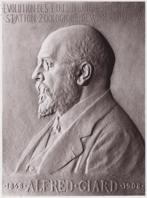 Alfred Giard (1846-1908), zoologiste, portrait - Paul Marie Louis Pierre Richer