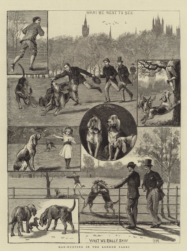 Chasse à l