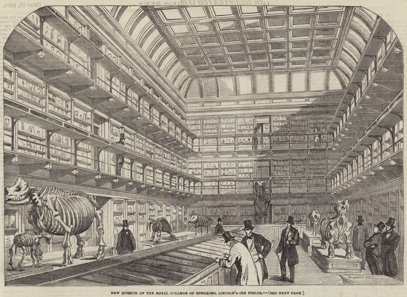 Nouveau musée du Royal College of Surgeons, Lincoln