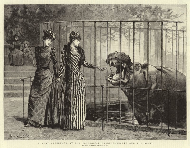 Dimanche après-midi aux jardins zoologiques, La Belle et la Bête - Percy Macquoid