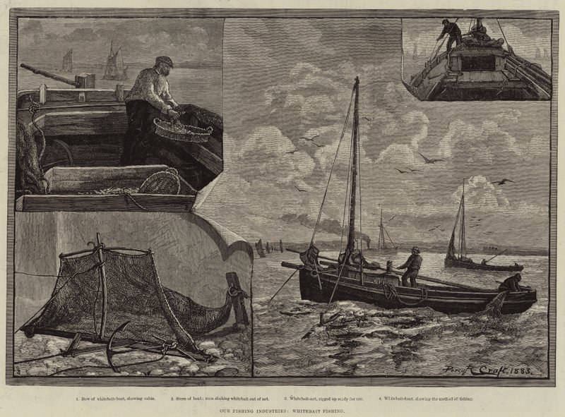 Nos industries de pêche, pêche au menu fretin - Percy Robert Craft