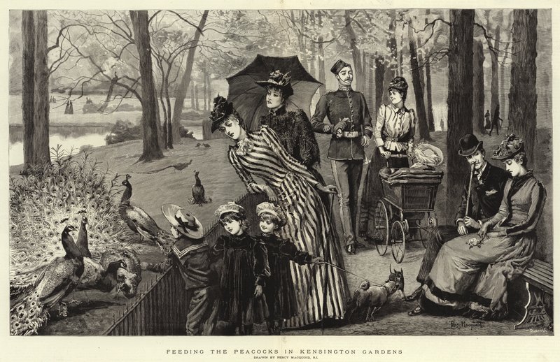 Nourrir les paons dans les jardins de Kensington (gravure) - Percy Macquoid