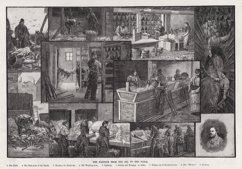 Le Haddock de la Mer à la Table - Percy Robert Craft