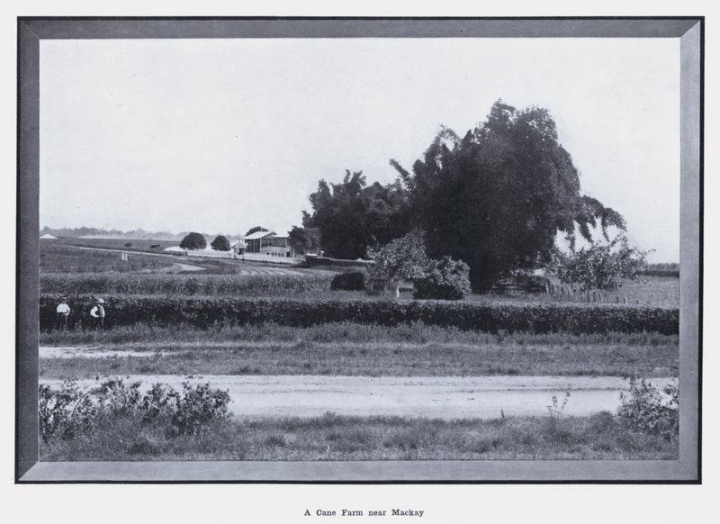 Une ferme de canne à sucre près de Mackay - Photographer Australian