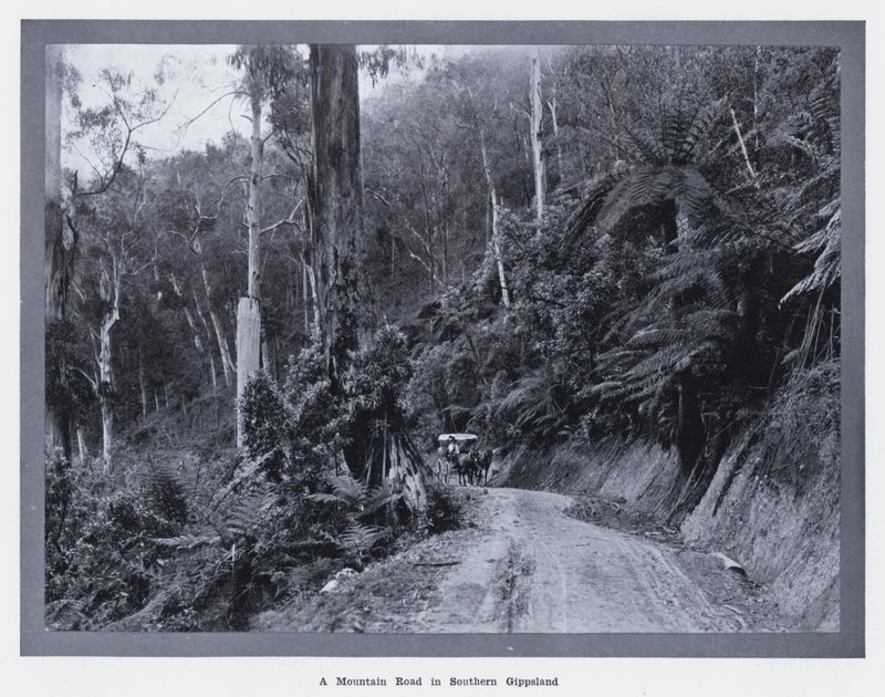 Une route de montagne dans le sud du Gippsland - Photographer Australian