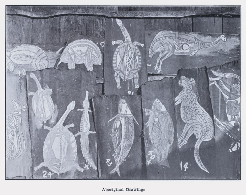 Dessins aborigènes - Photographer Australian