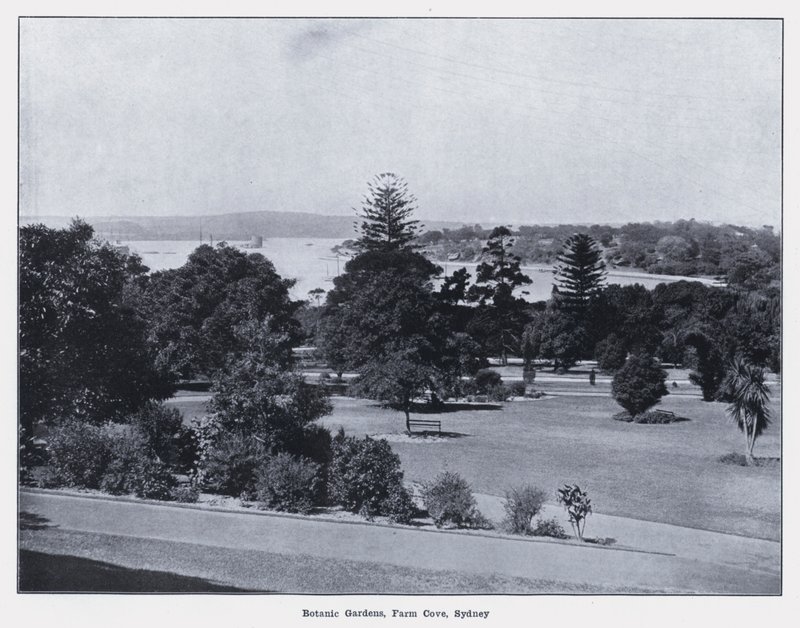 Jardins botaniques, Farm Cove, Sydney - Photographer Australian