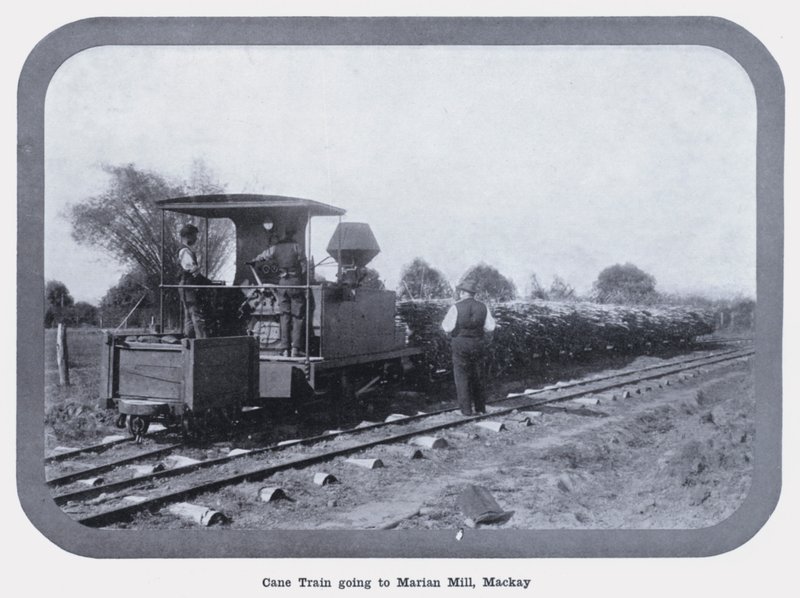 Train de canne à sucre allant au moulin de Marian, Mackay - Photographer Australian