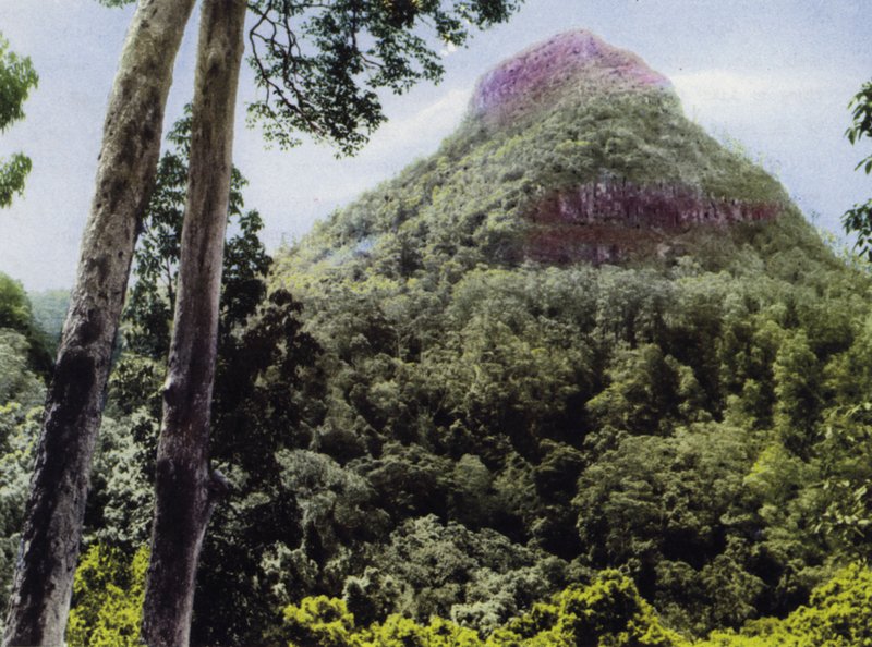 Queensland, Australie : Mont Cordeaux - Photographer Australian