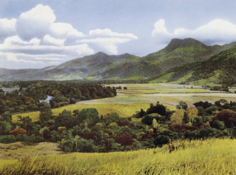 Queensland, Australie : Terres à sucre à Mossman - Photographer Australian