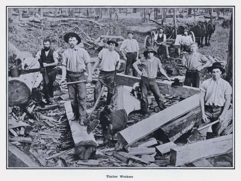 Travailleurs du bois - Photographer Australian