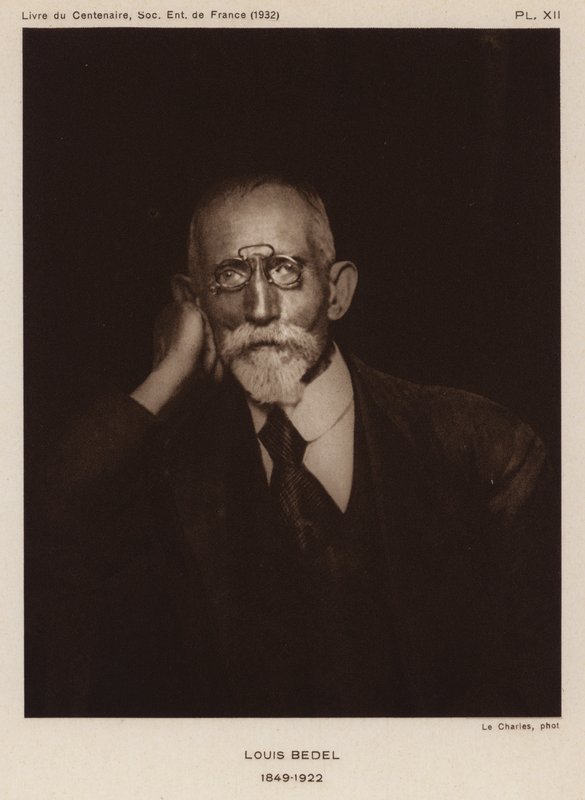 Ernest Marie Louis Bedel, entomologiste français - Photographer French