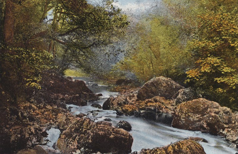 Irlande : Dans le Dargle, Comté de Wicklow - Photographer Irish