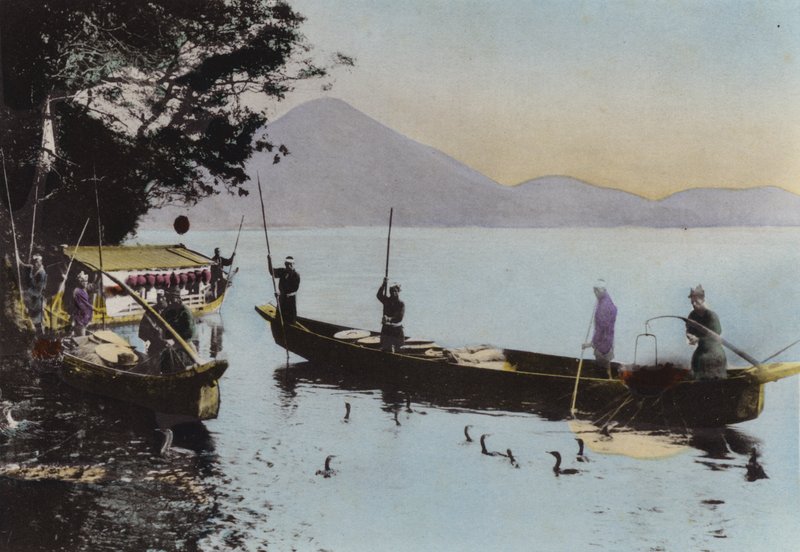 Japon, c.1912 : Pêche au cormoran, Nagaragawa - Photographer Japanese