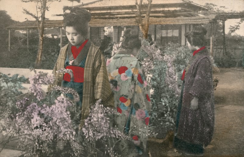 Femmes japonaises avec des glycines - Photographer Japanese