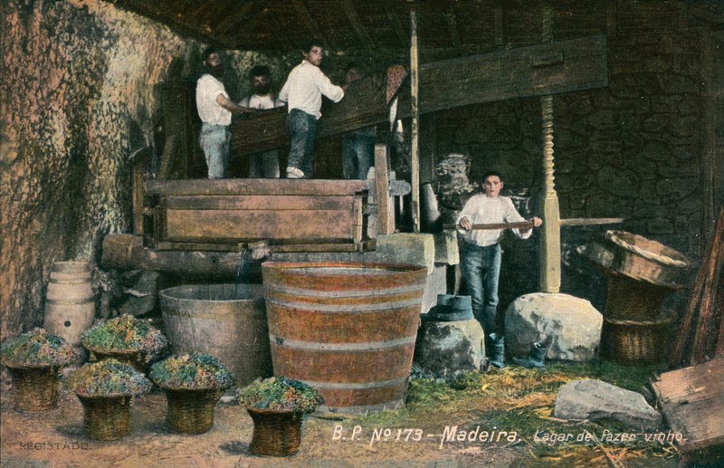 Pressoir à vin, Madère, Portugal (photo n/b) - Photographer Portuguese
