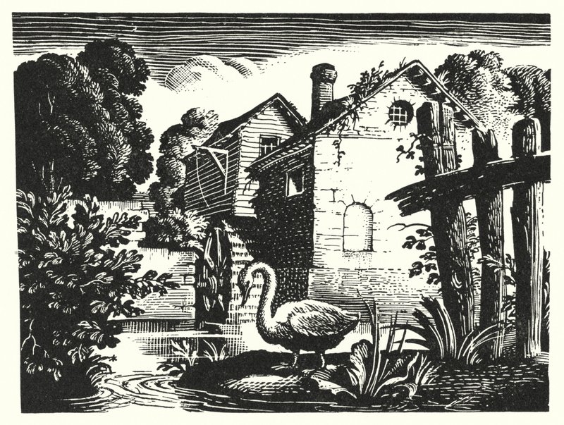 Hans Christian Andersen : Le Vilain Petit Canard - Rex (after) Whistler