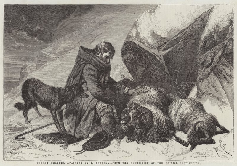 Temps sévère - Richard Ansdell