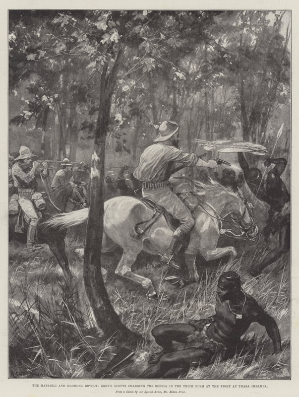La révolte des Matabili et des Mashona, les éclaireurs de Grey chargeant les rebelles dans le buisson épais lors du combat à Thaba Imbamba - Richard Caton Woodville junior