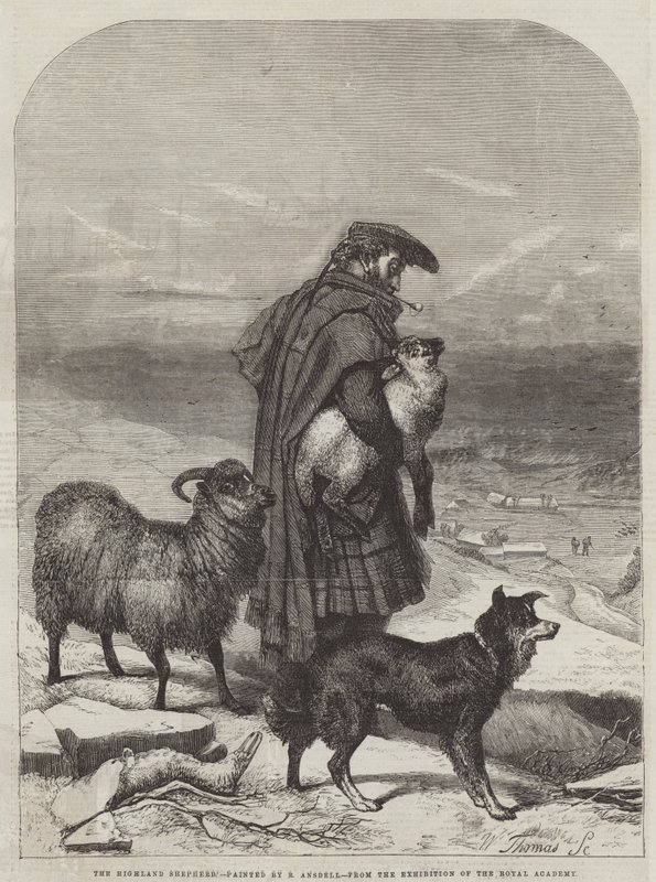 Le berger des Highlands - Richard Ansdell