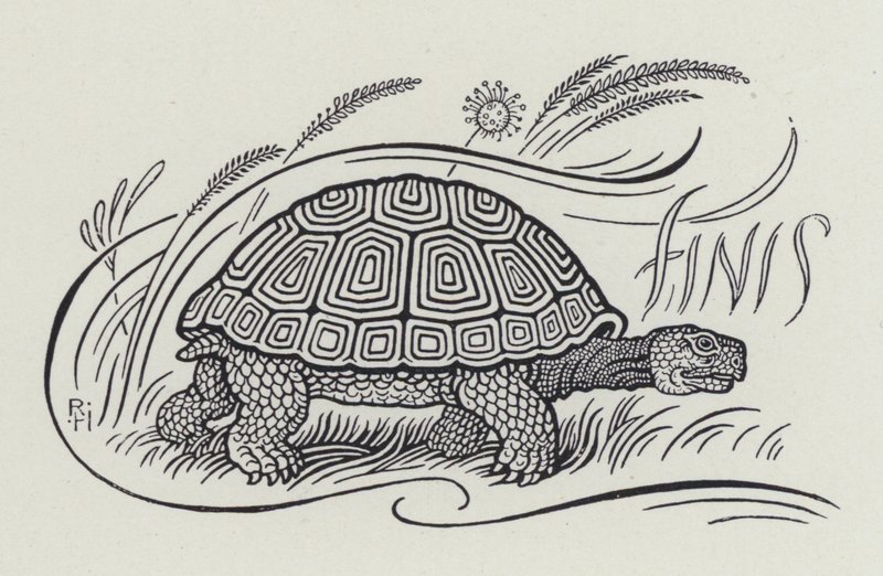 Le Lièvre et la Tortue - Richard Heighway