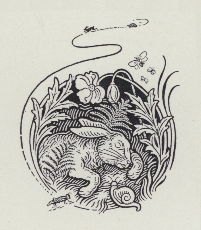 Le lièvre et la tortue - Richard Heighway
