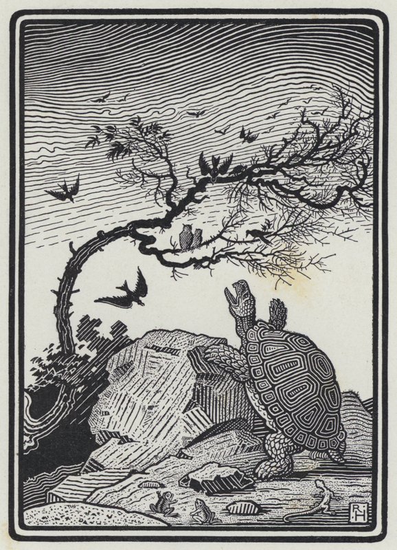 La Tortue et les Oiseaux - Richard Heighway