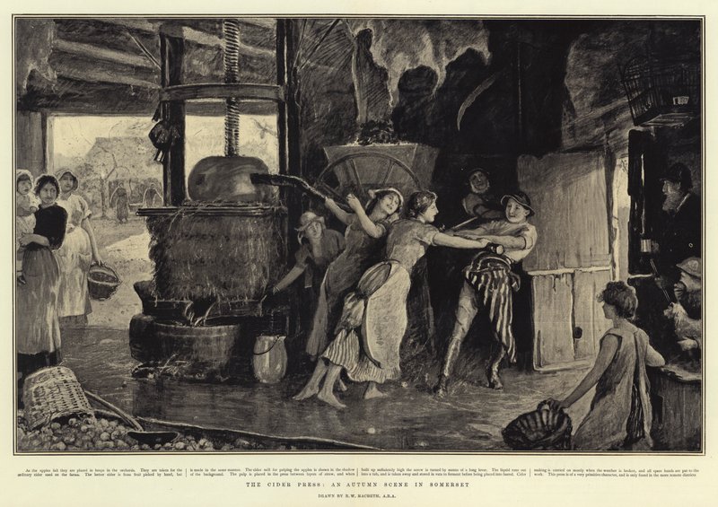 Le pressoir à cidre, une scène d